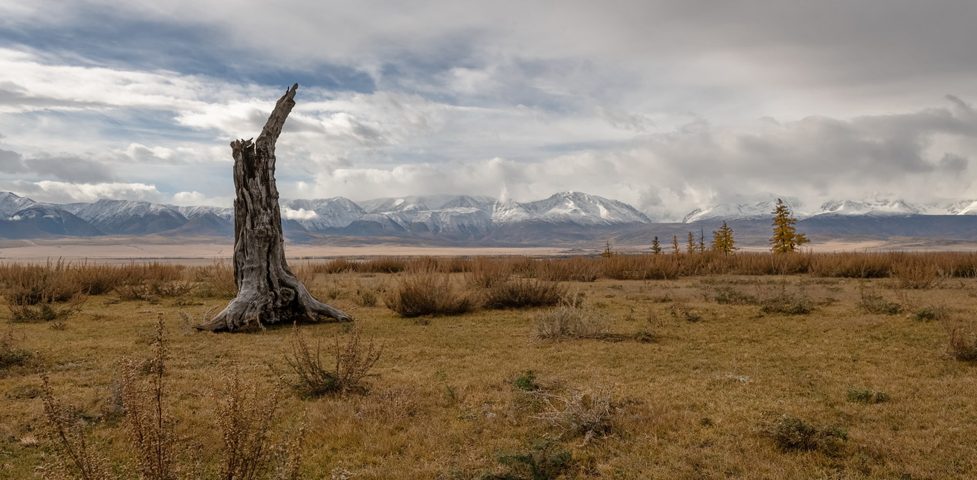 В Курайской степи.