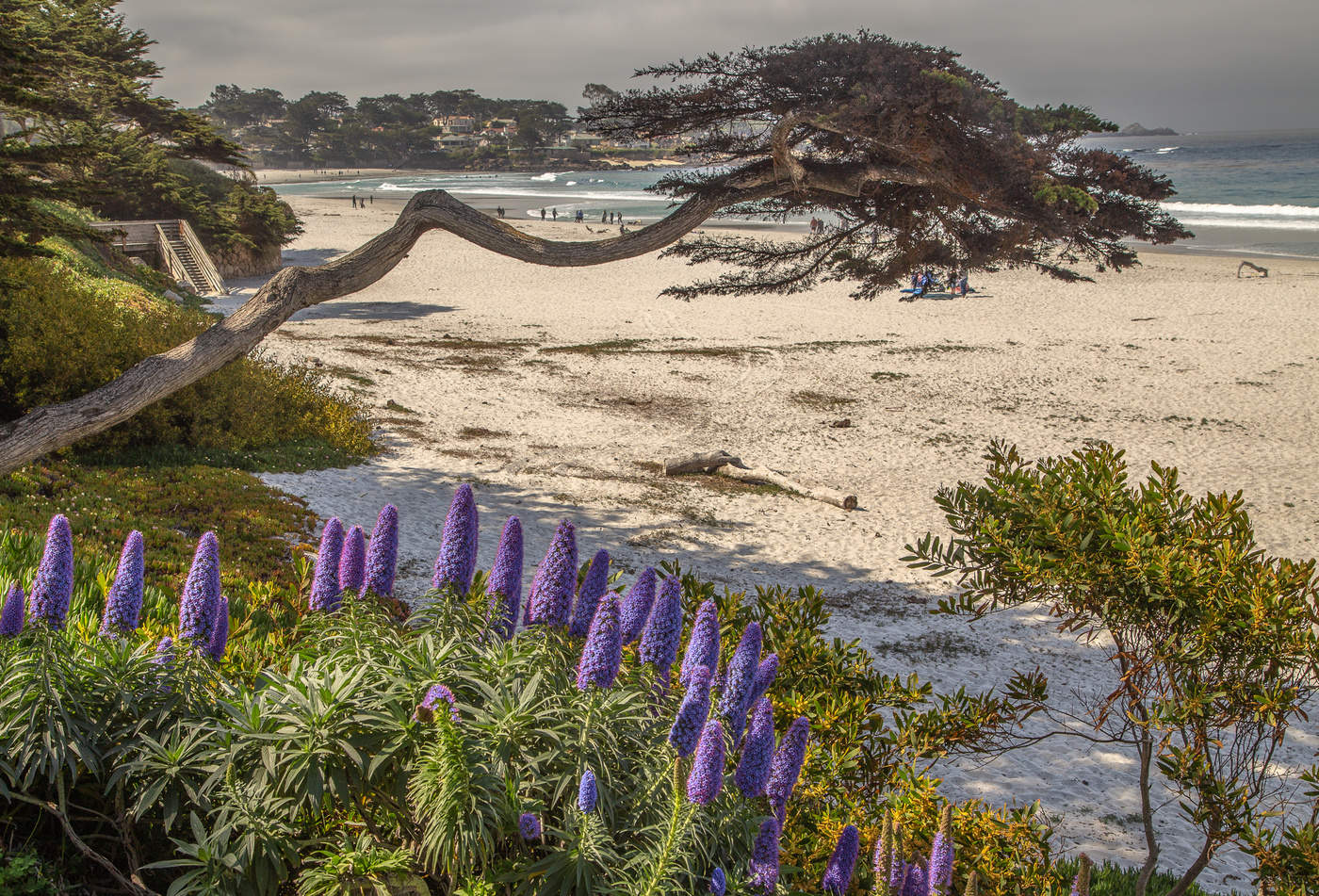 Пустынный пляж