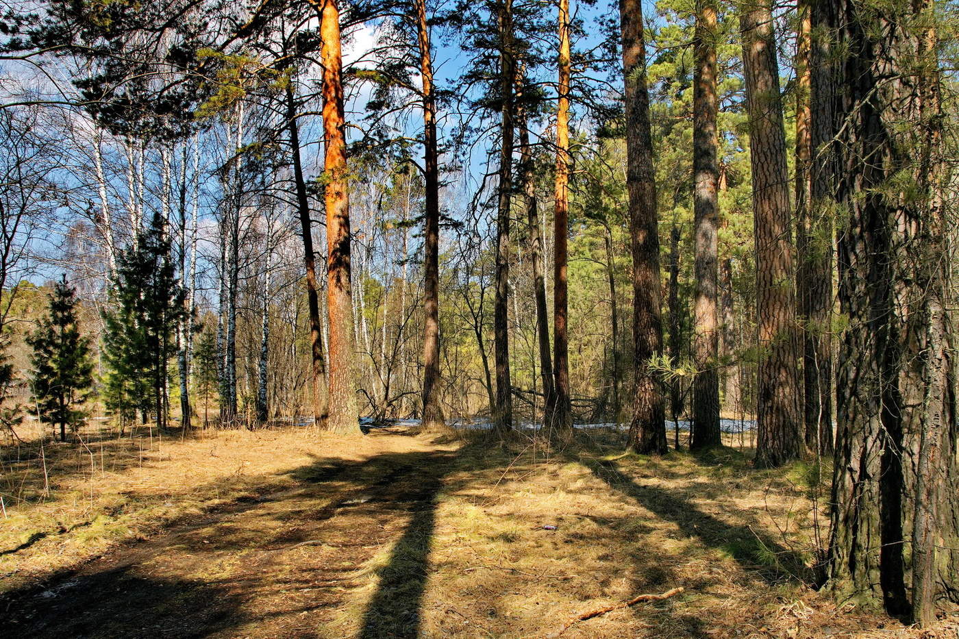 Весенним полднем.