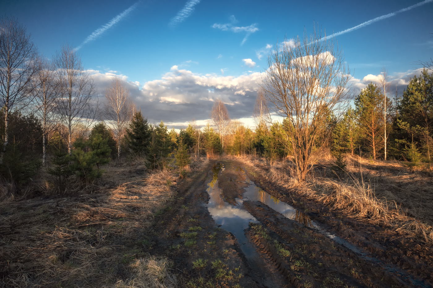 по весенней дороге