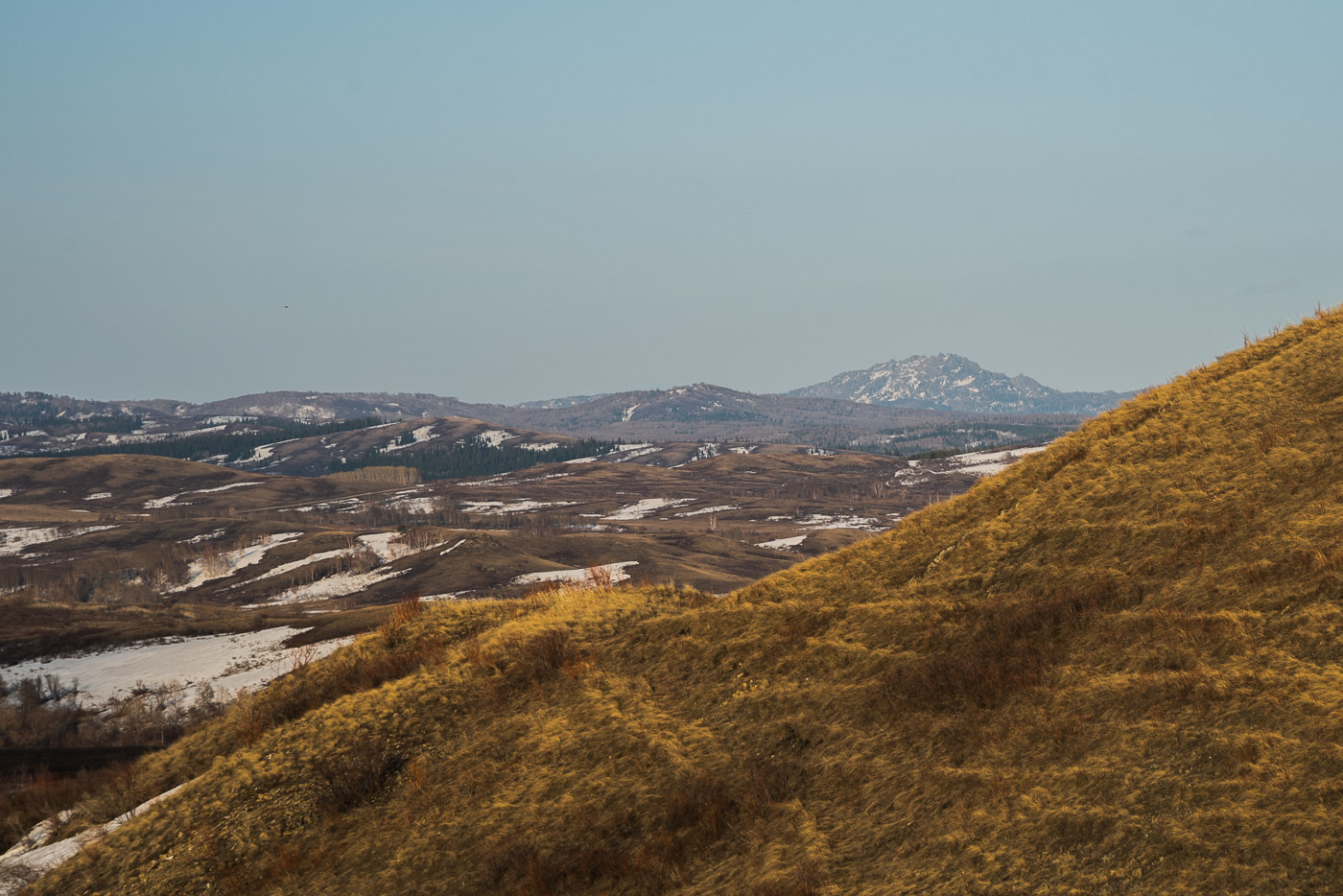 Сопки весной