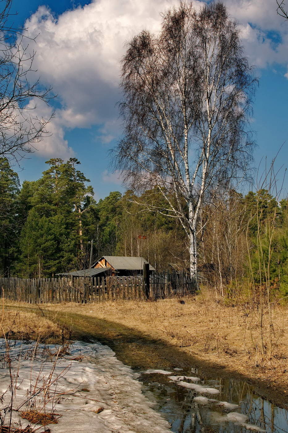 Весенний этюд.