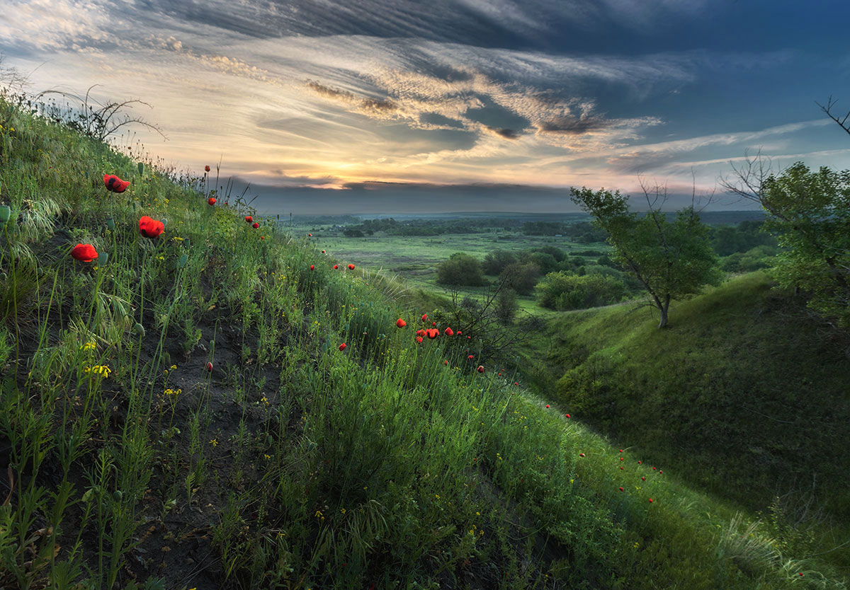 Майский рассвет у хутора Орешкина