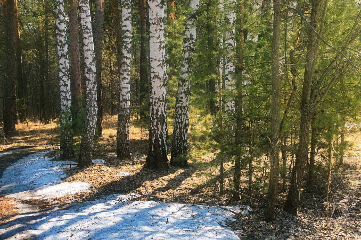 Апрельский день.