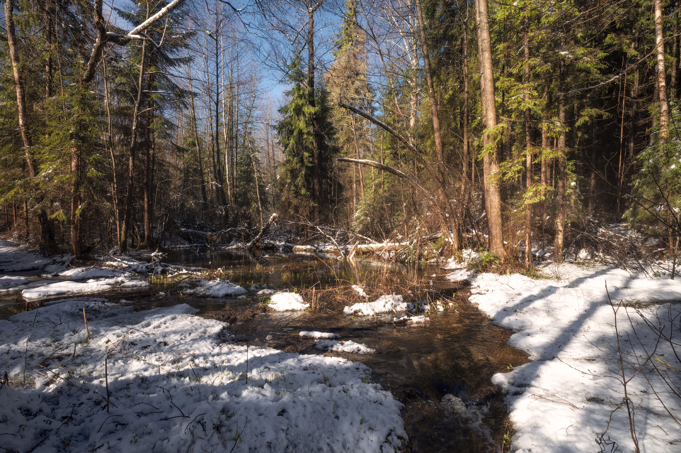 весенние ручьи