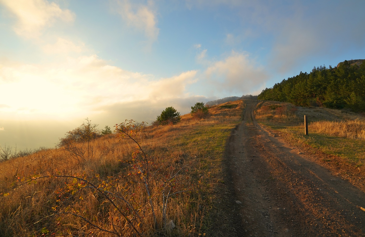 Вечер в ноябре