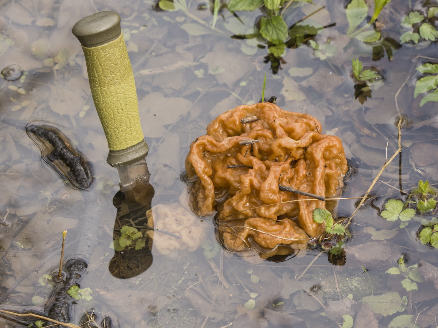 Примета весны.