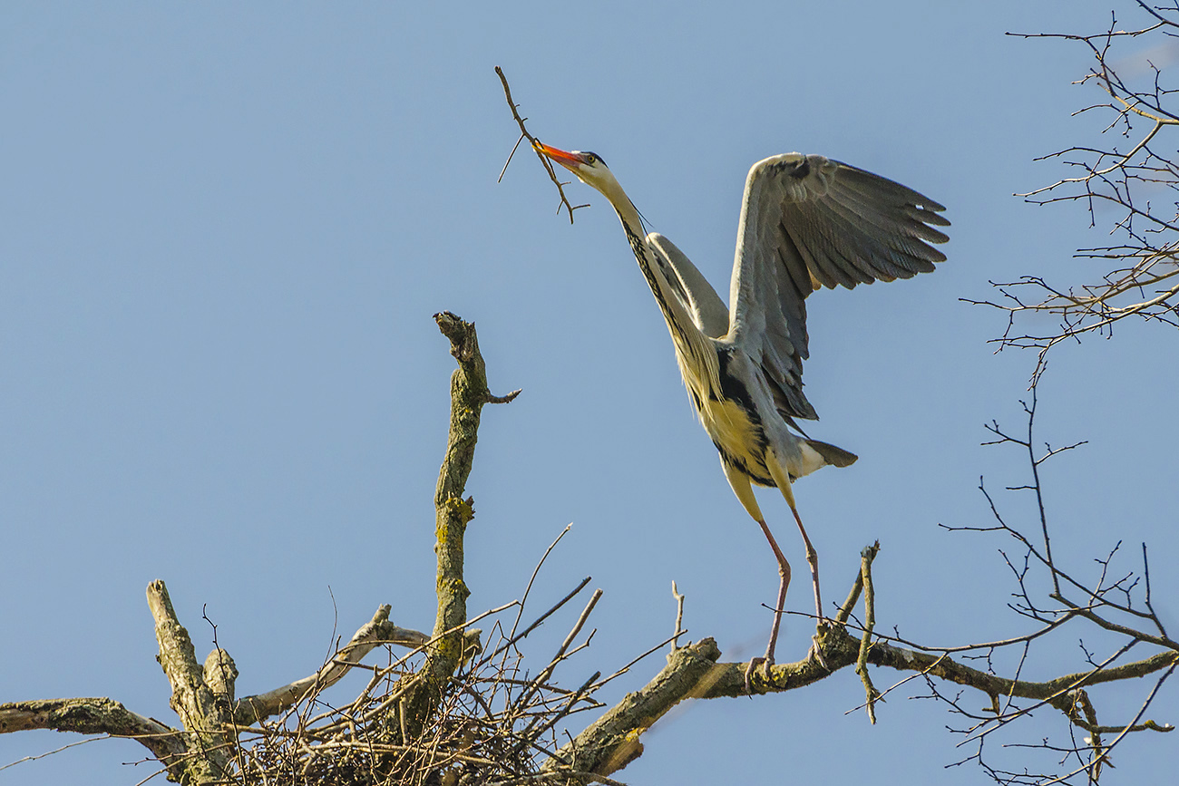 Строительный сезон