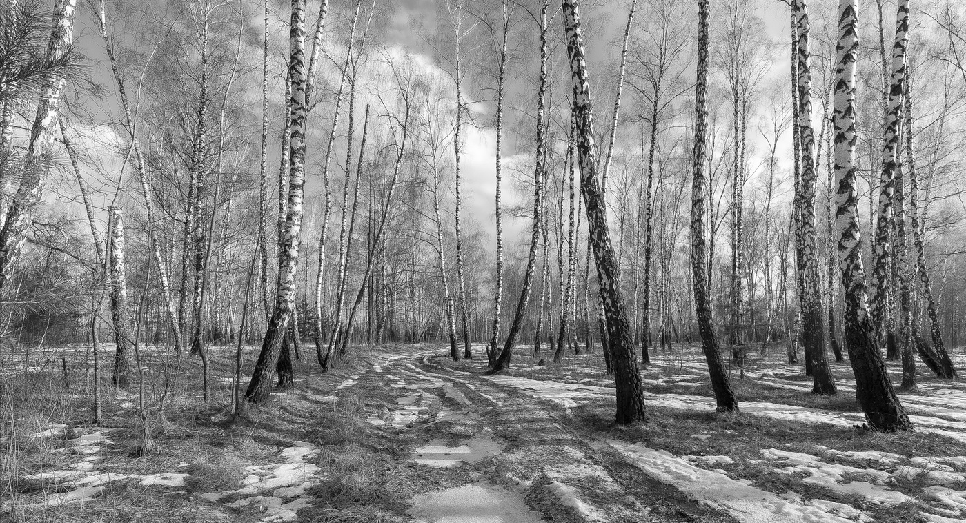 Дыхание Весны.