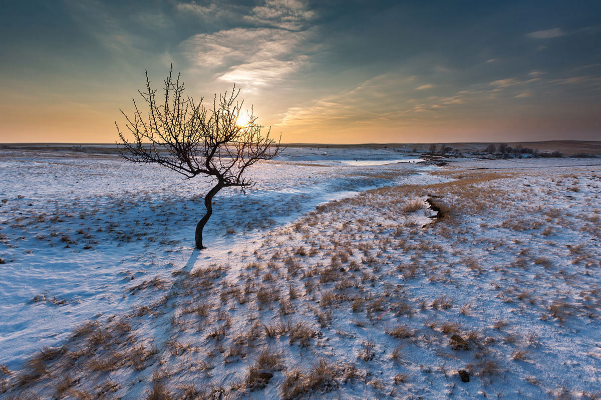 Степь проста и прекрасна