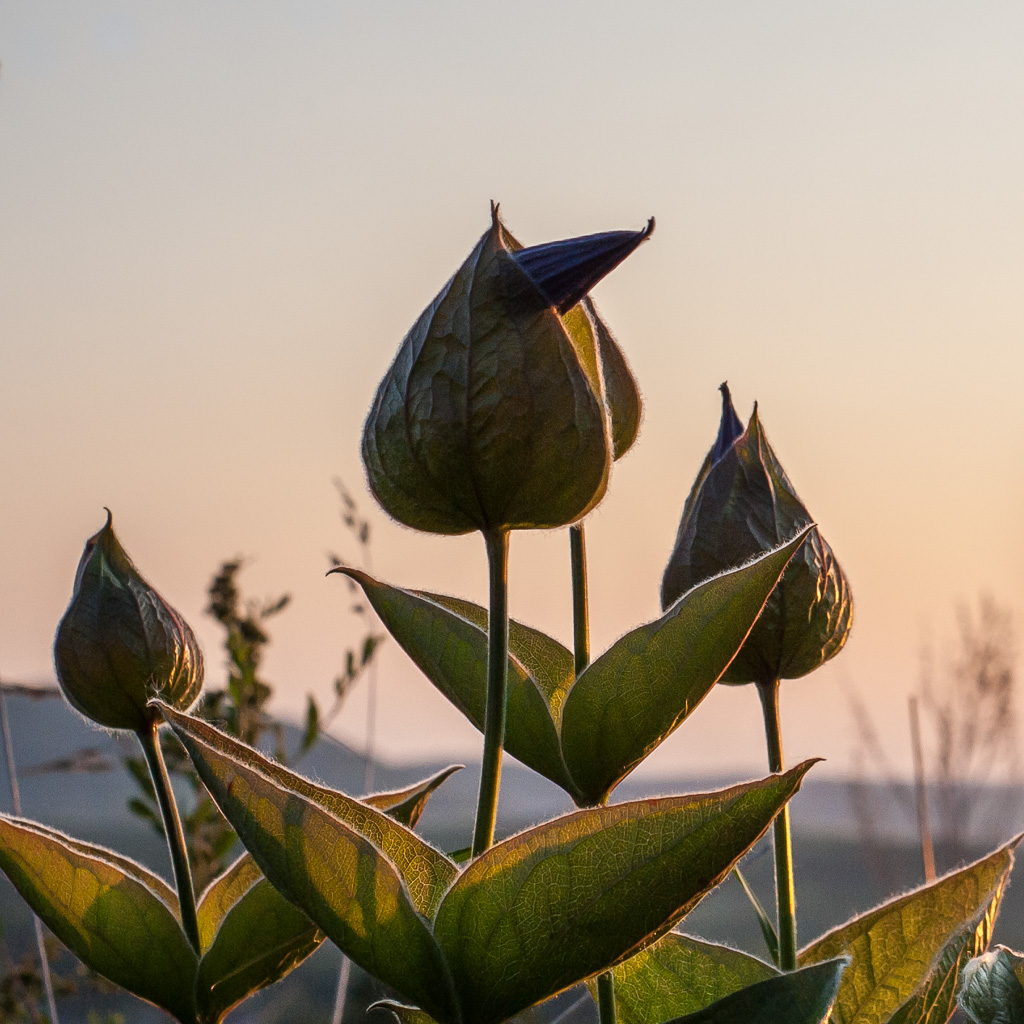 Можно выходить?