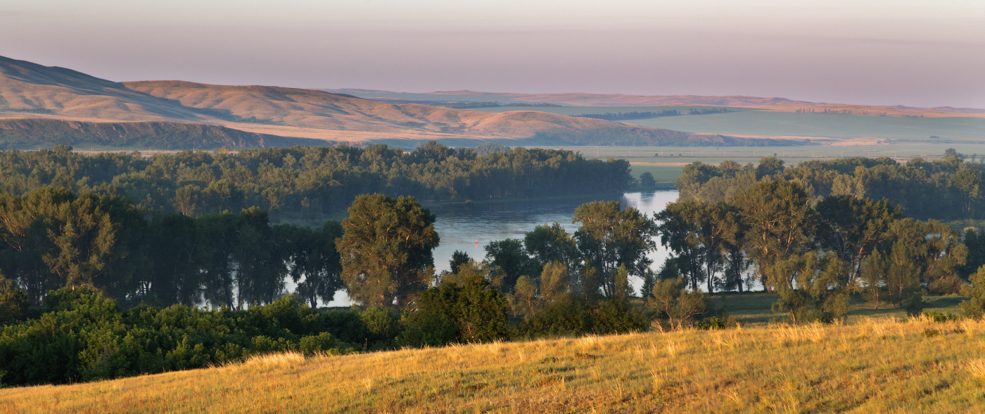 Летнее утро