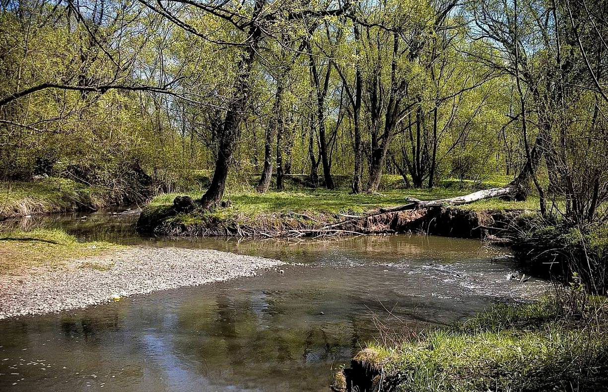 Чертановка