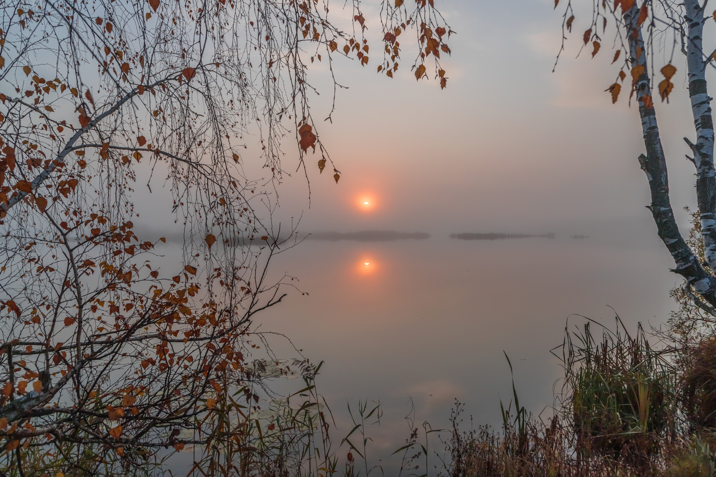 Октябрьские туманы