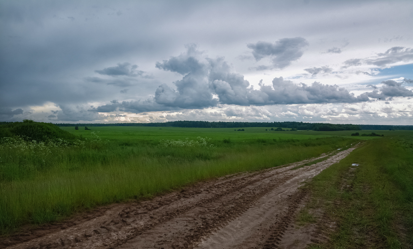 после дождя