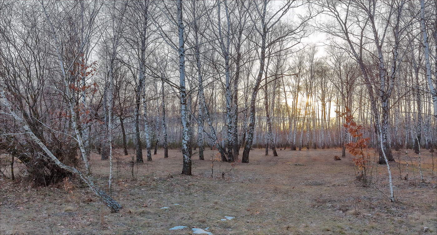 Догорает день весенний...