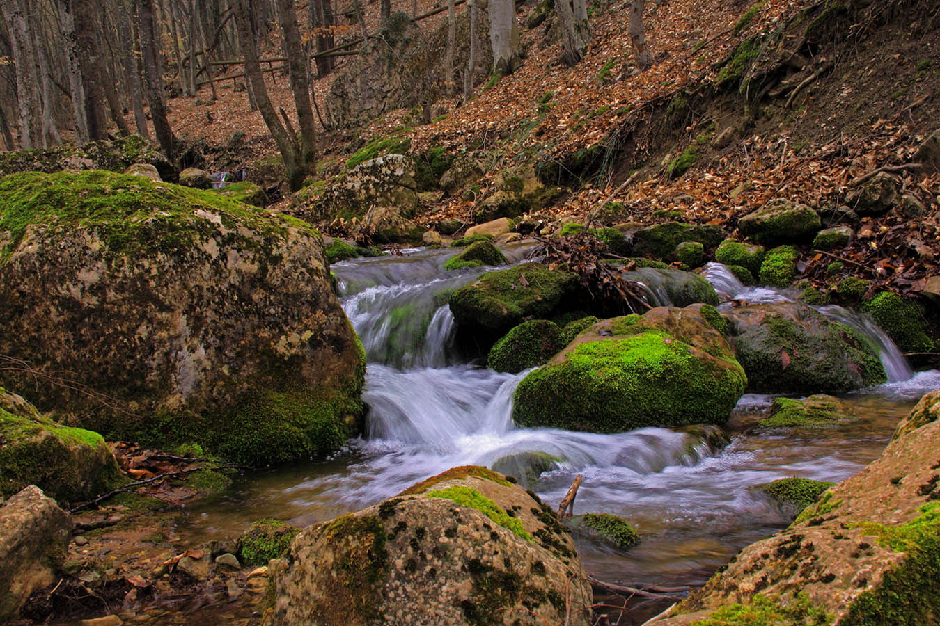 Бегут ручьи
