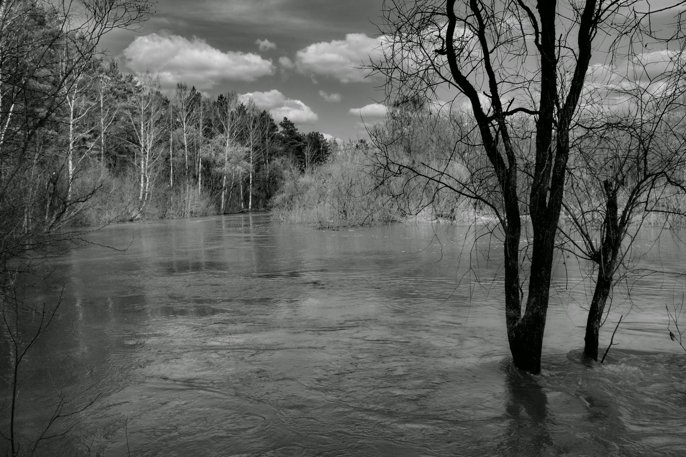 Весенние воды.