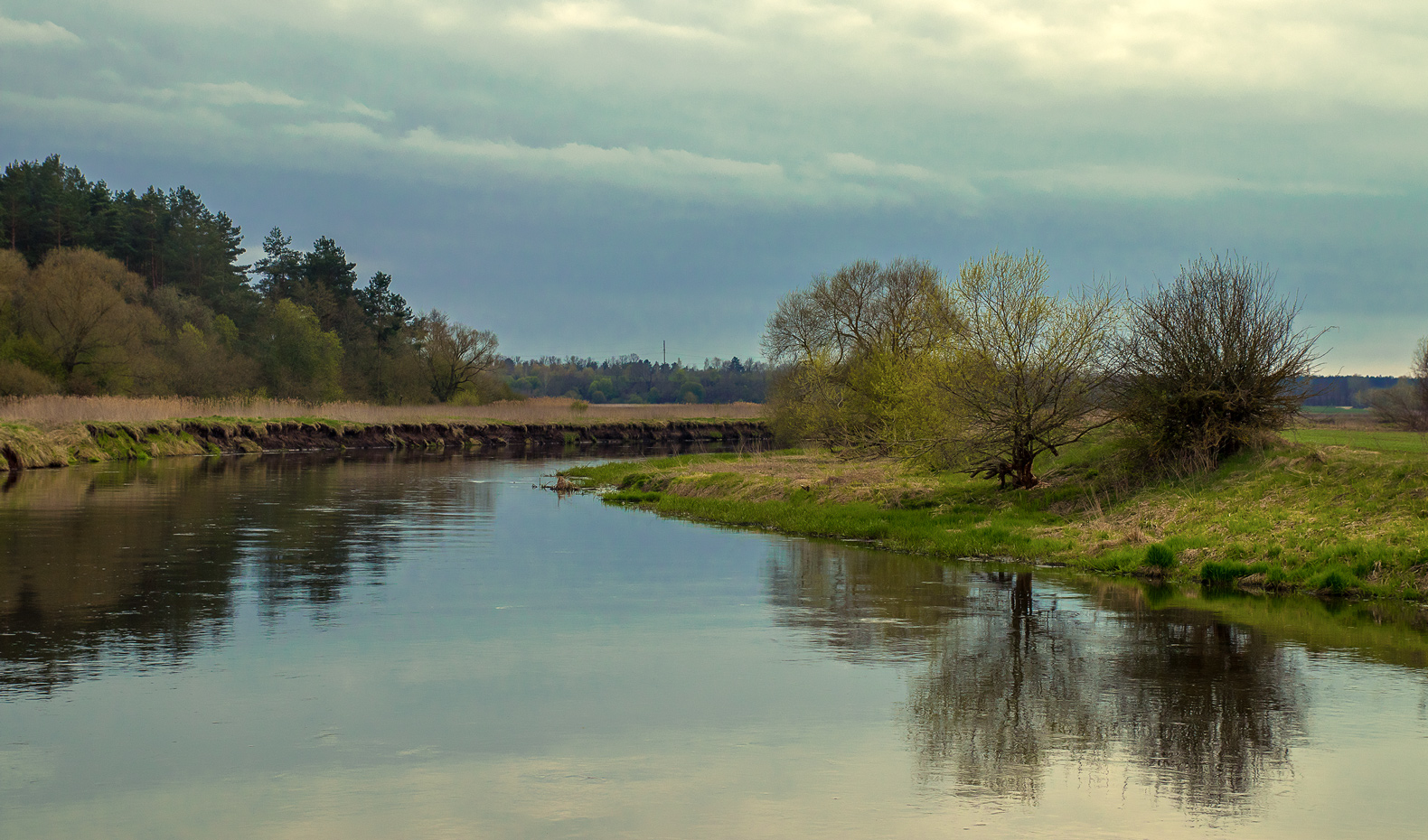 Майсим вечером