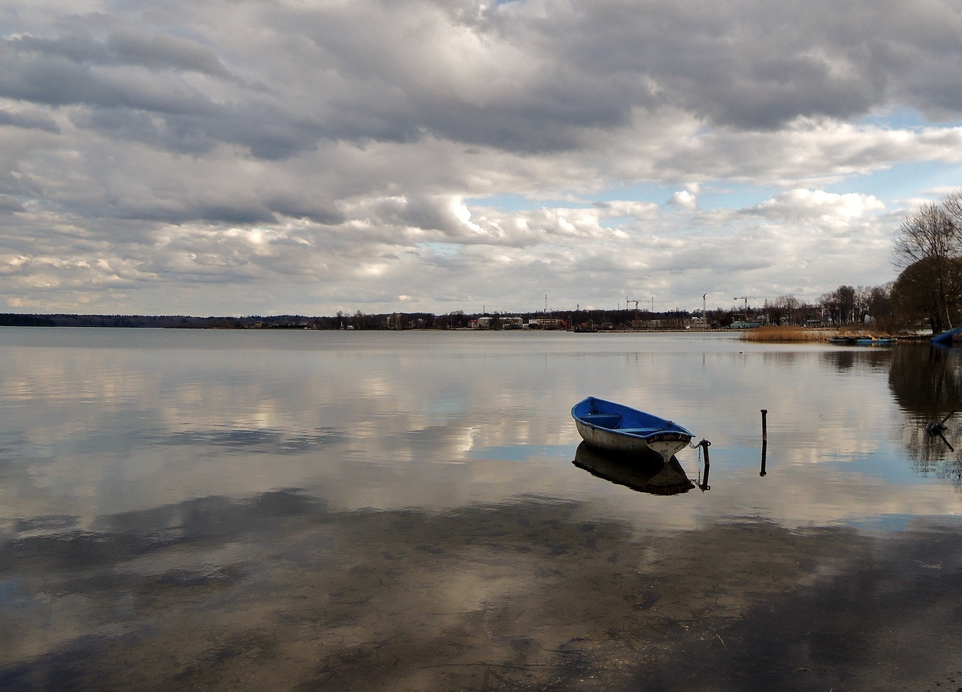 Замечательный вечер