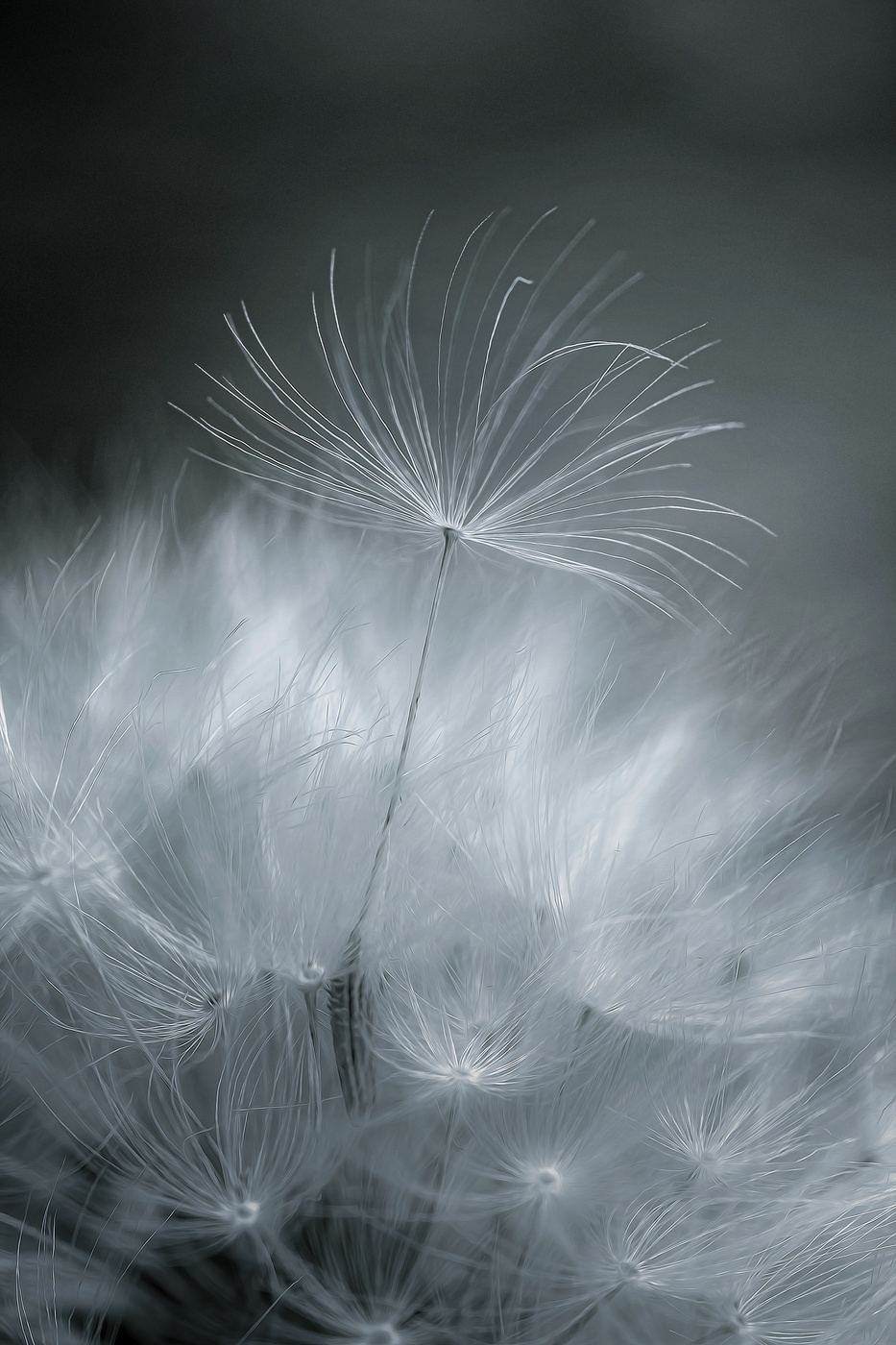 Время полётов.