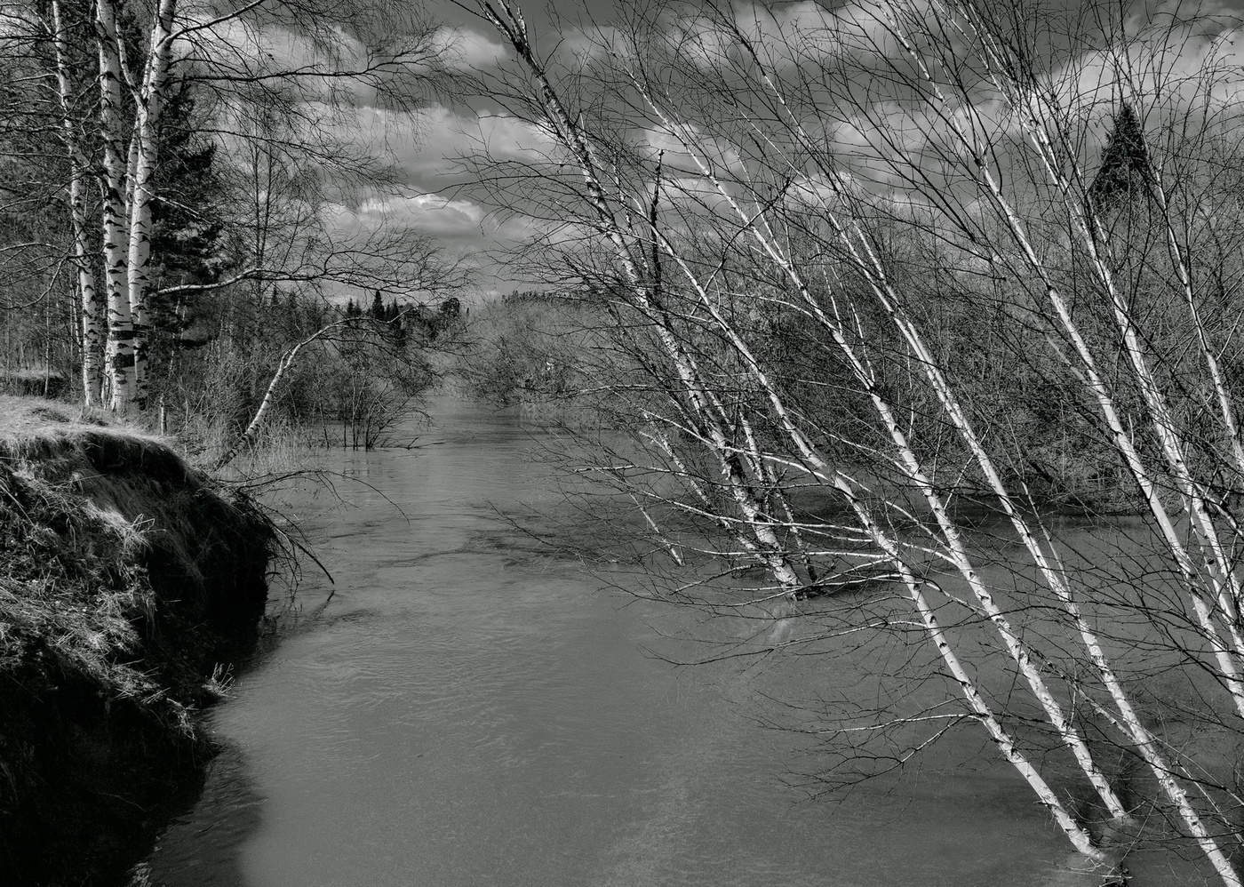 Весенний день.