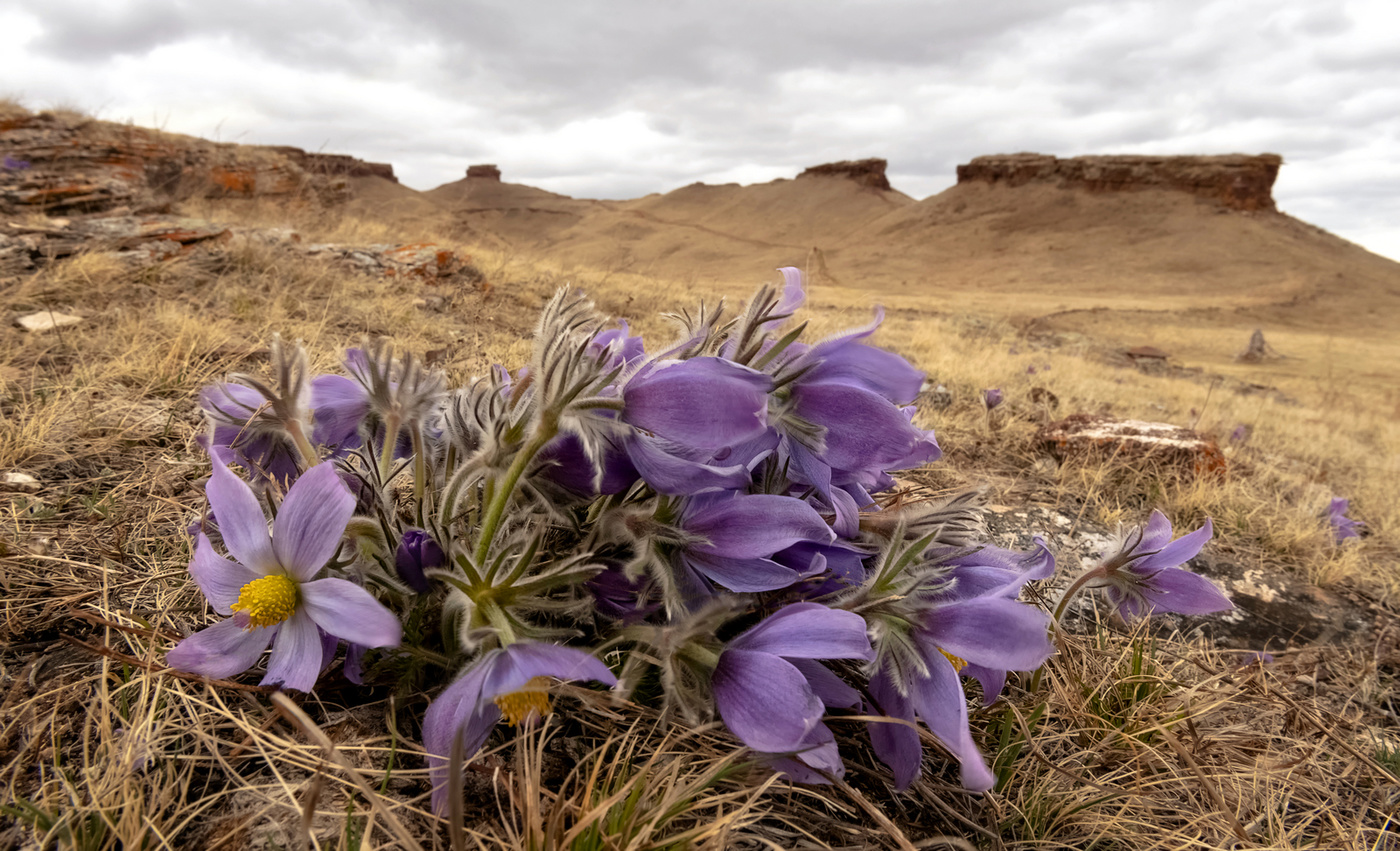 Весна на Сундуках.
