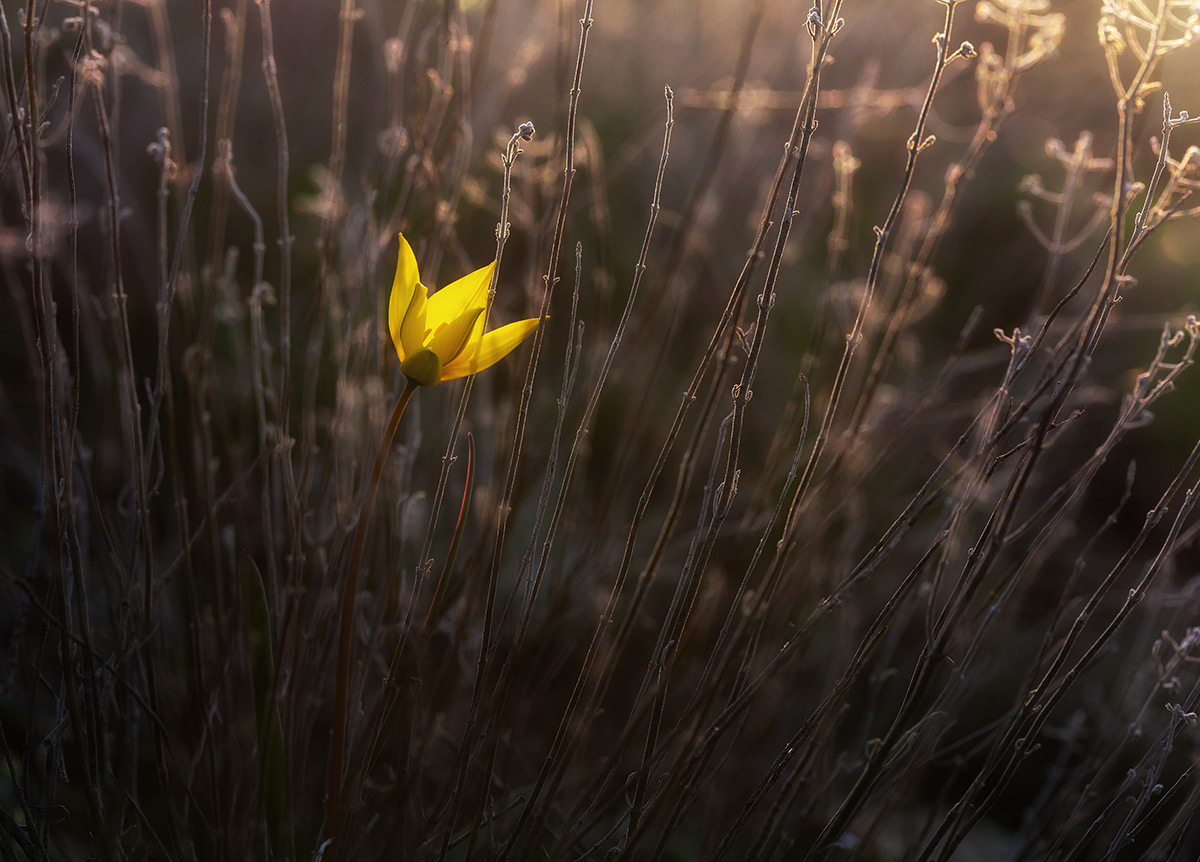 Вспоминая апрель