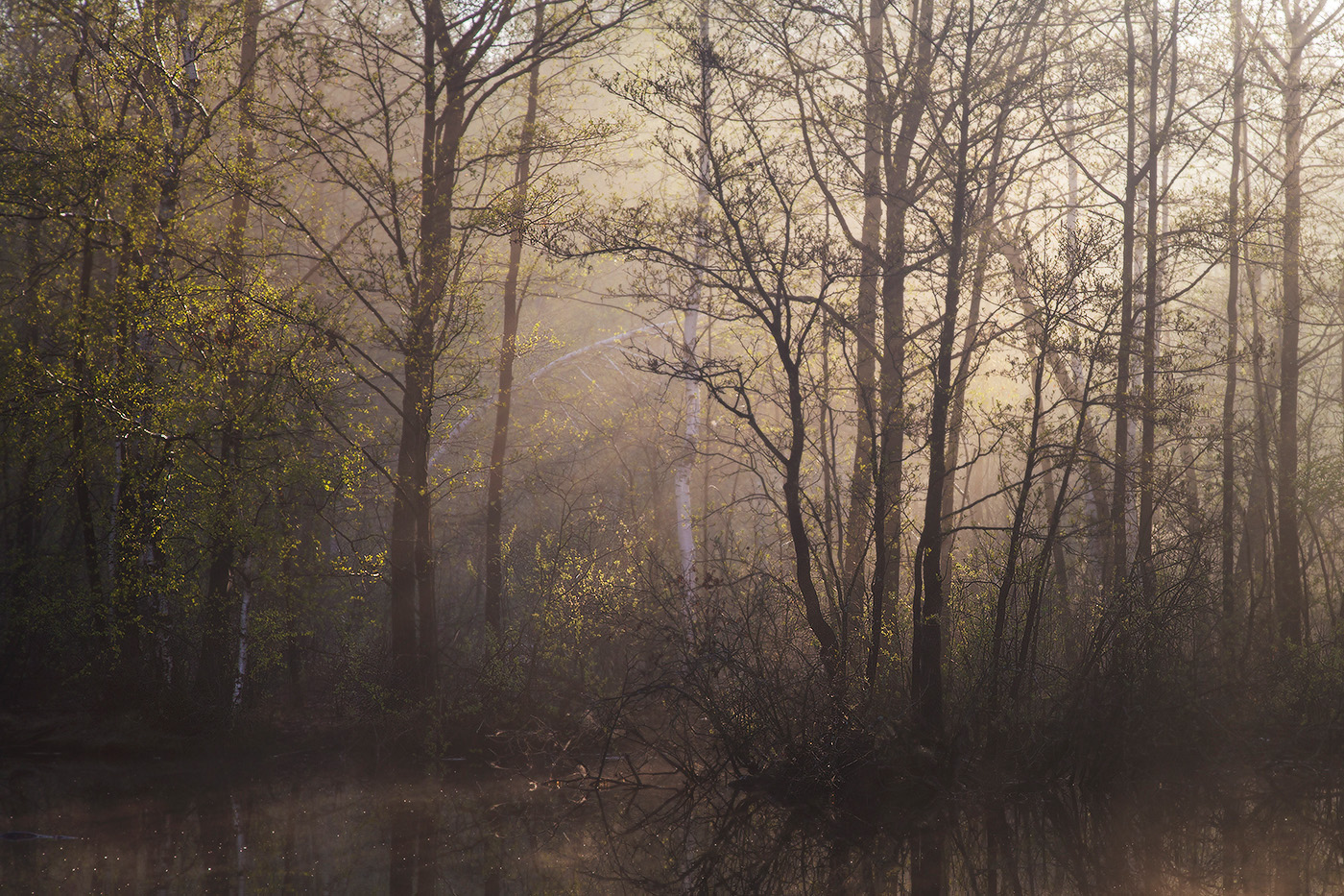 Пробуждение