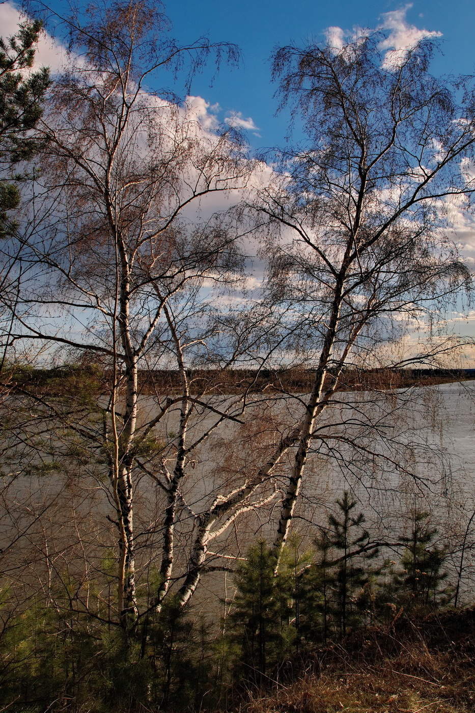 Весенним вечером.