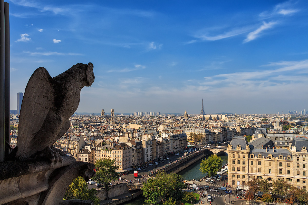 Химеры Собора Нотр-Дам-де-Пари