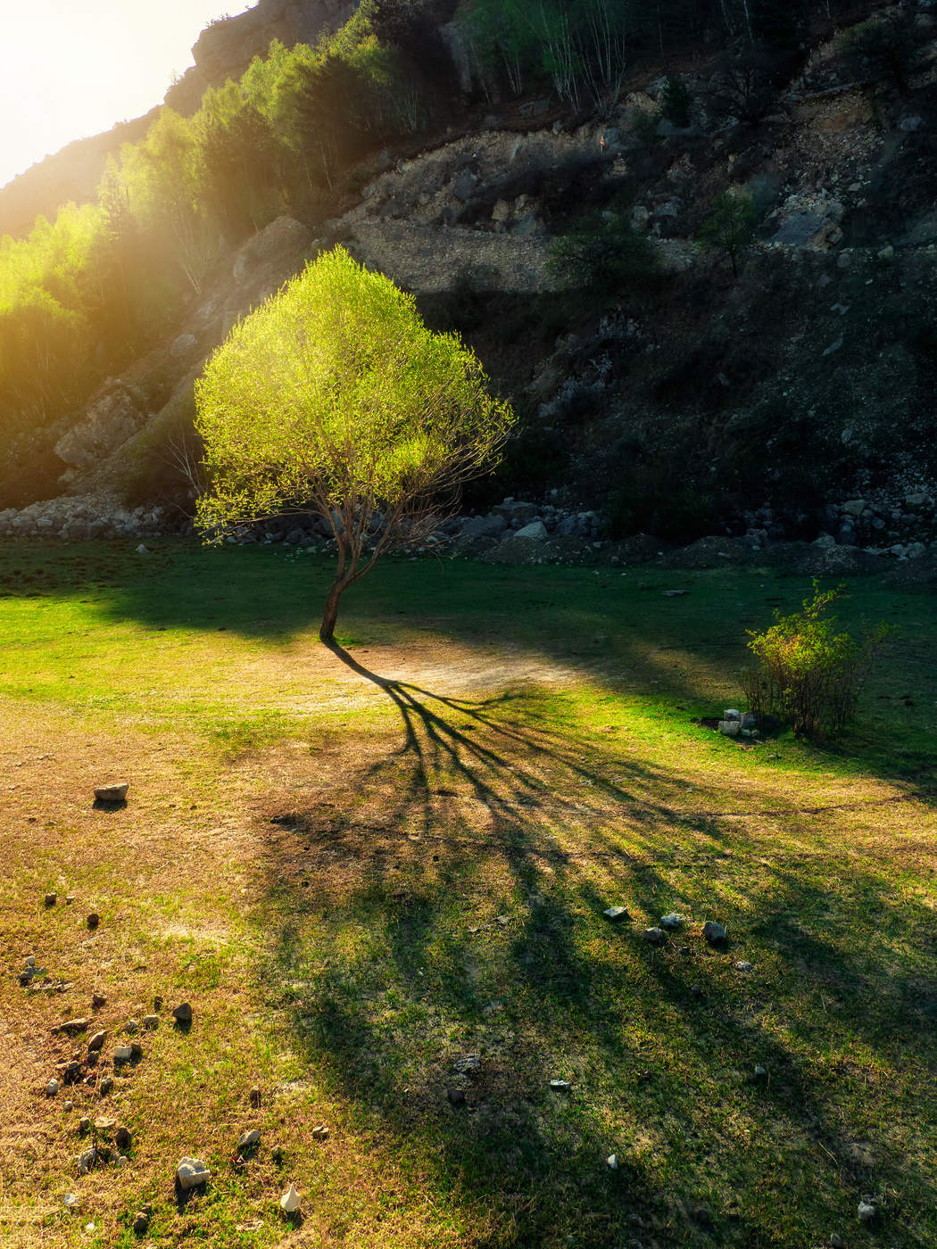 Раннее весеннее утро в горах Дагестана. Окрестности Гуниба.