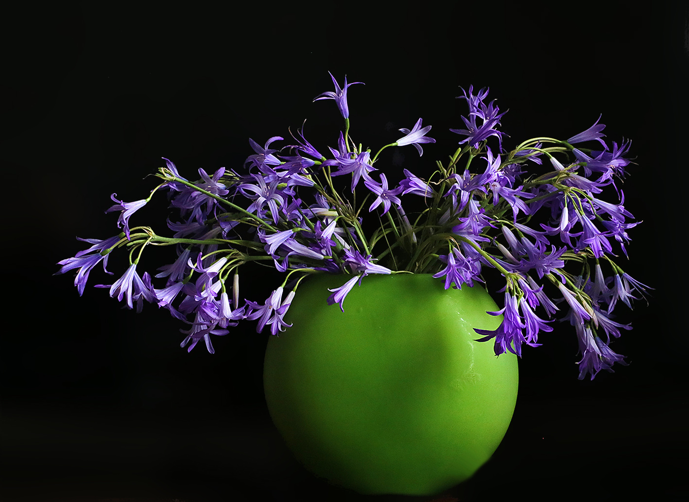 Просто колокольчики