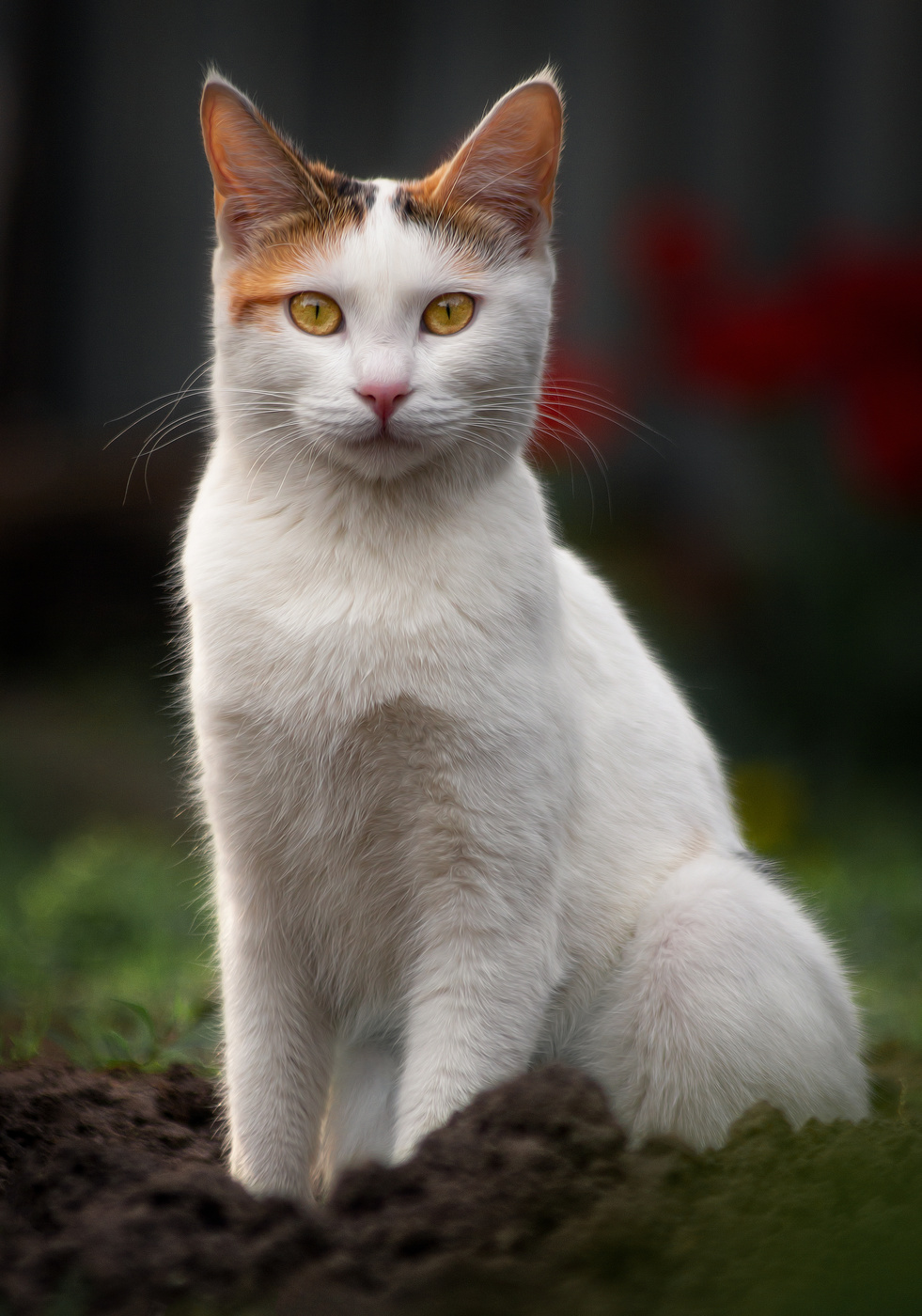 Гляжусь в тебя как в зеркало...