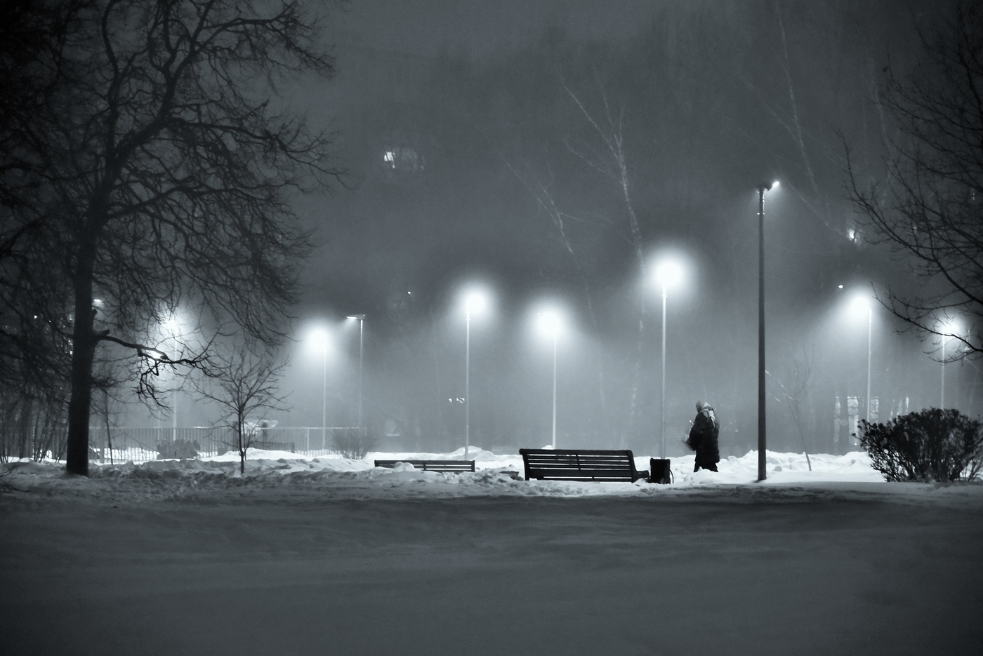 Январь, ночь, туман, одиночество ...