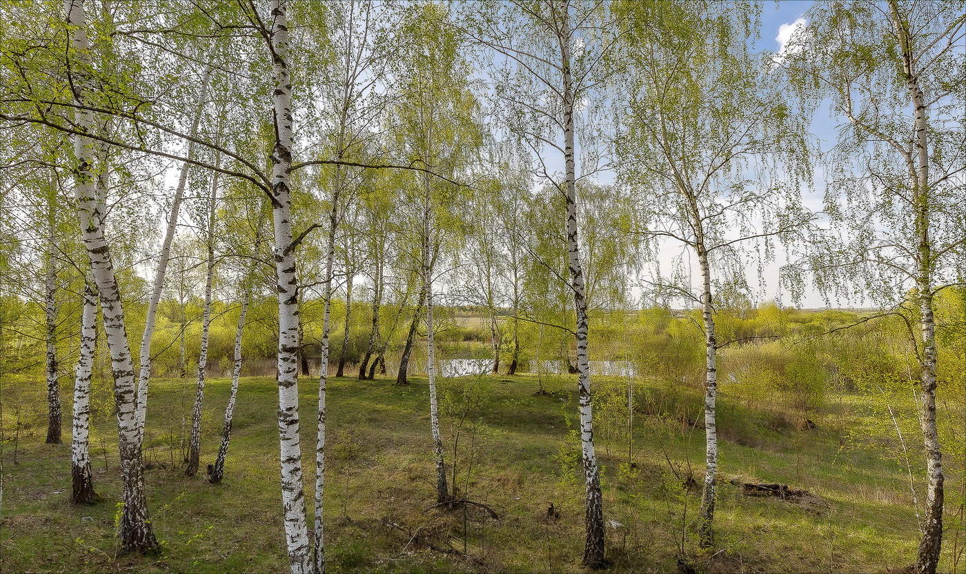 В вечерней тишине.