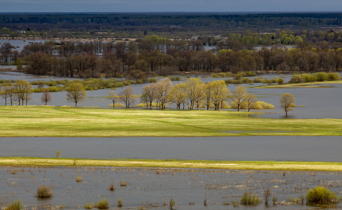 Весенний сюжет