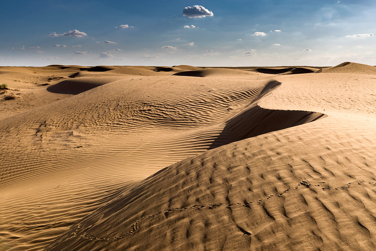Пески Калмыкии