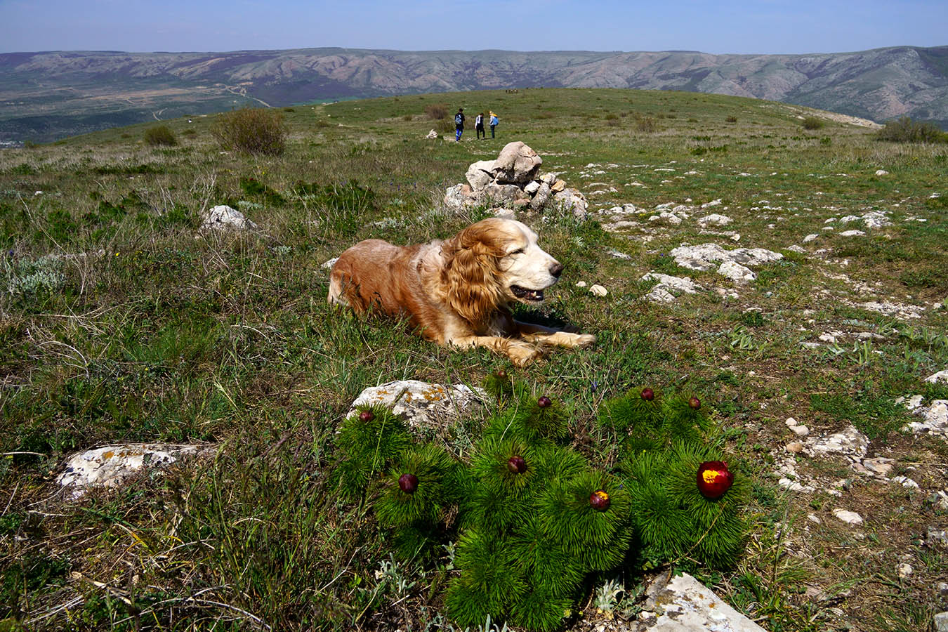 На плато Чатыр-Дага