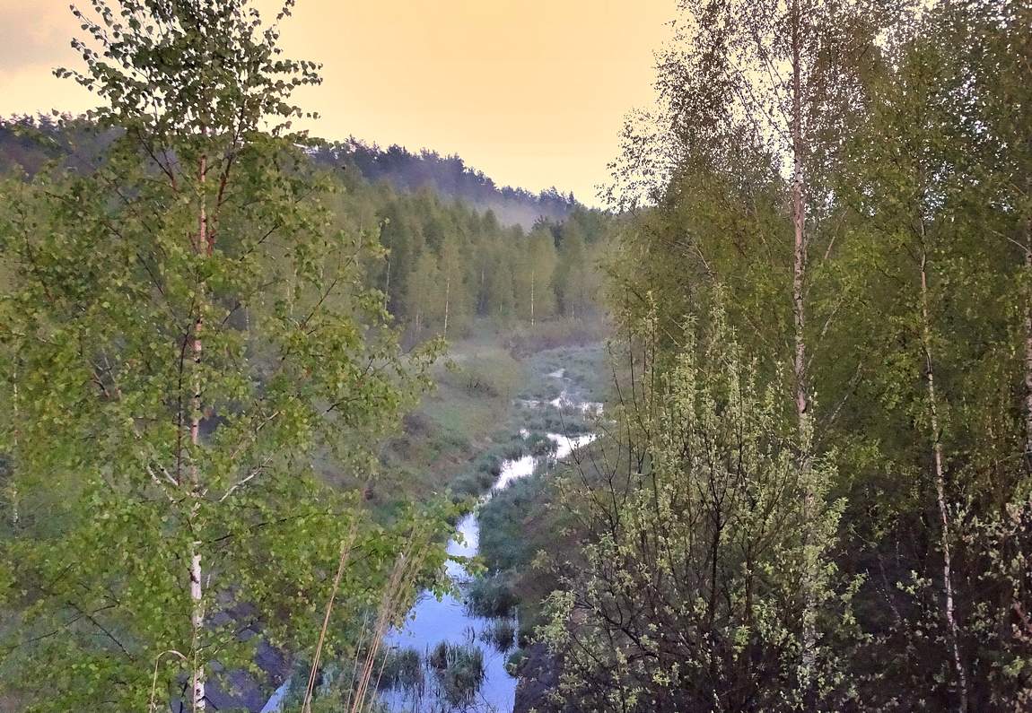 Течёт ручей по майской зелёной природе
