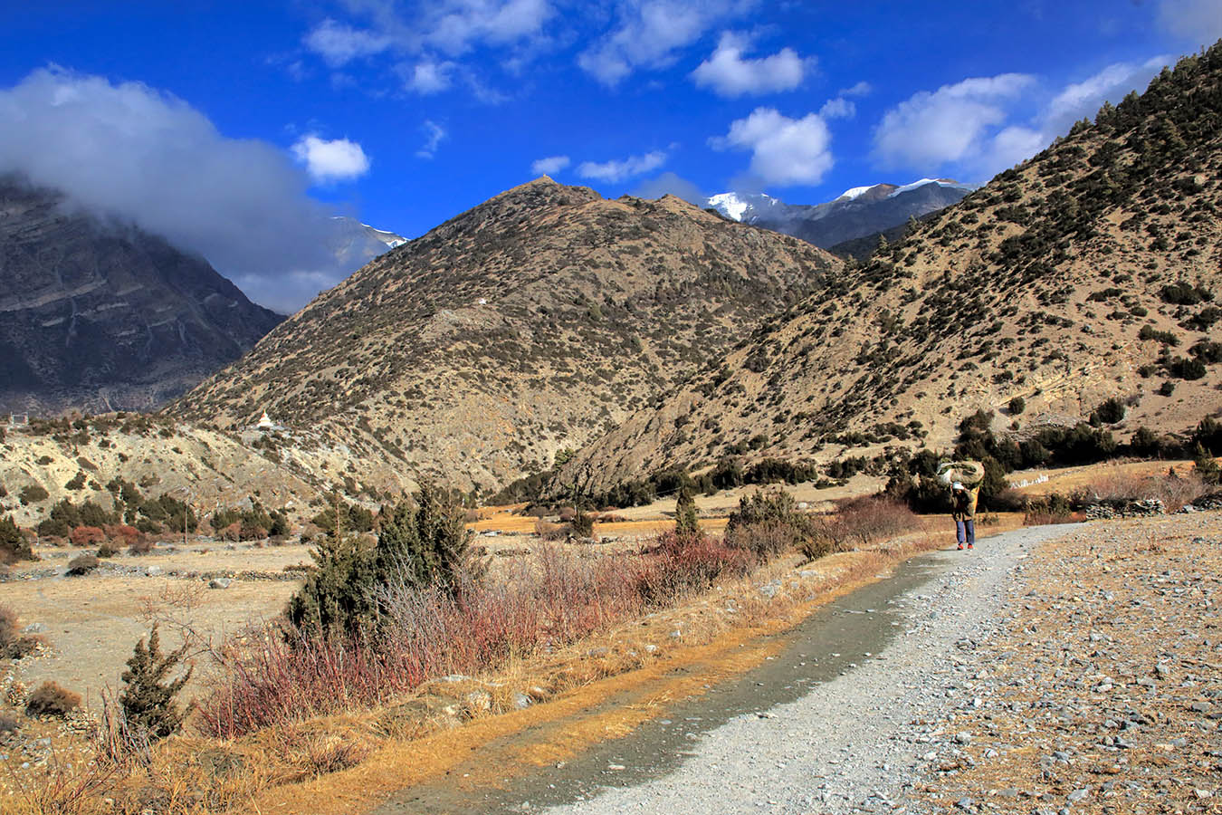В долине реки Марсианди