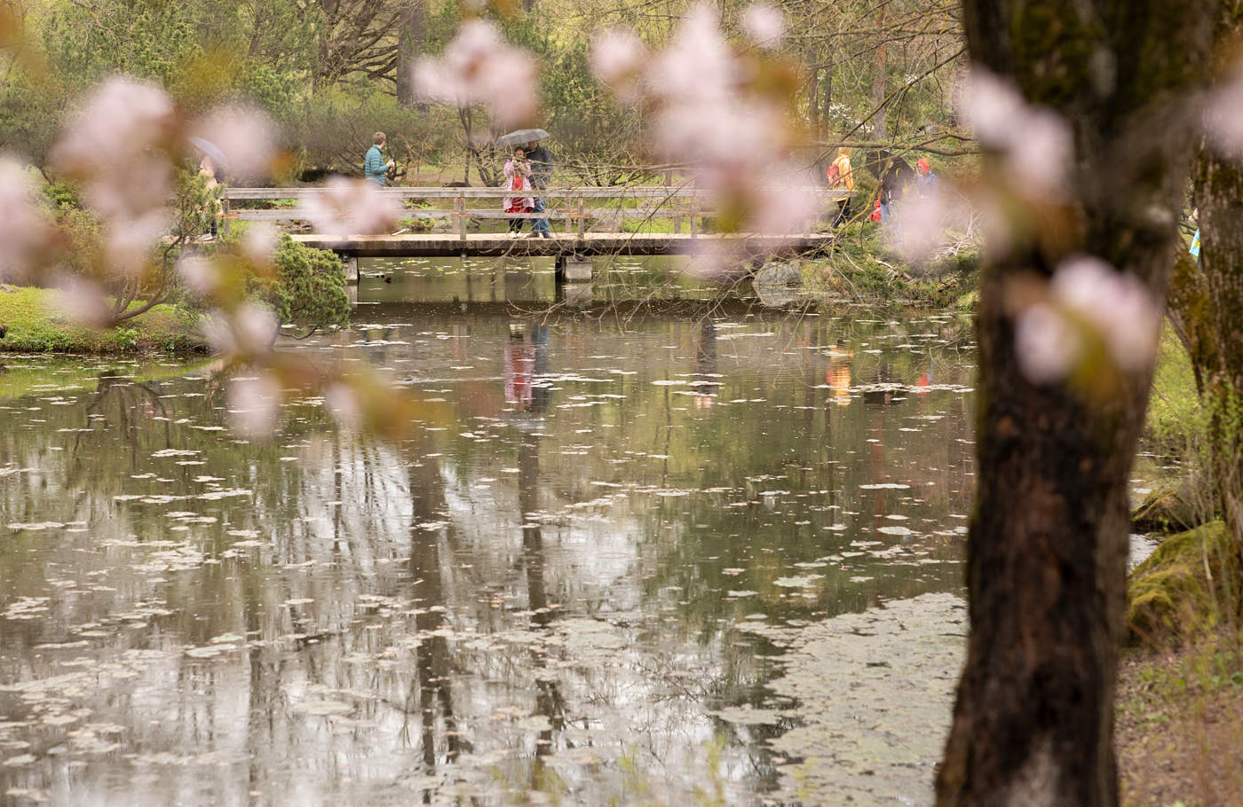 Мимолетное