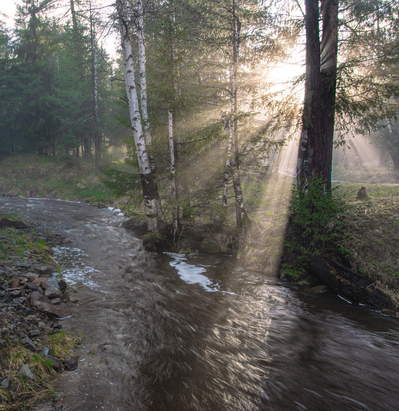 Туман и солнце