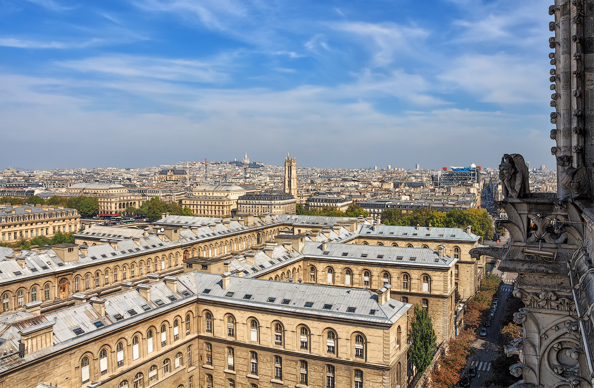 Химеры Собора Нотр-Дам-де-Пари