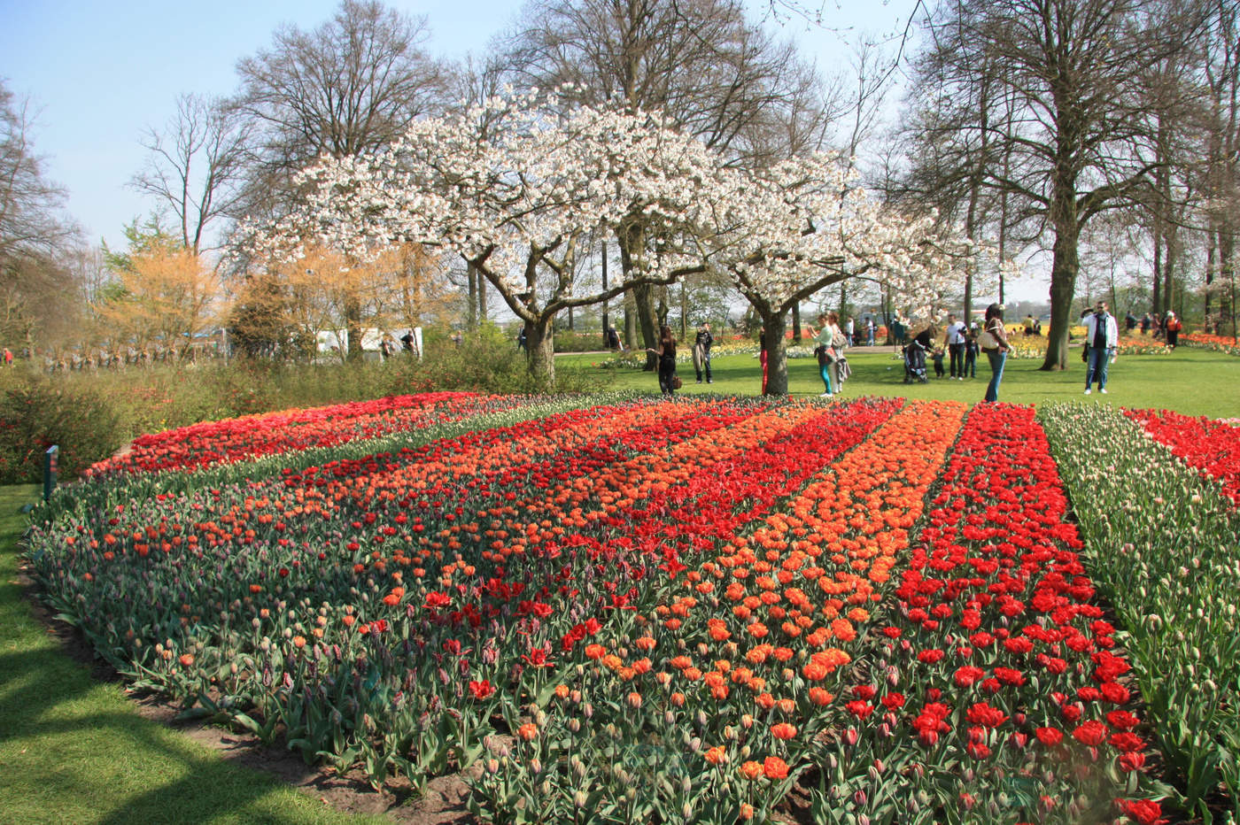 Яркие краски весны...