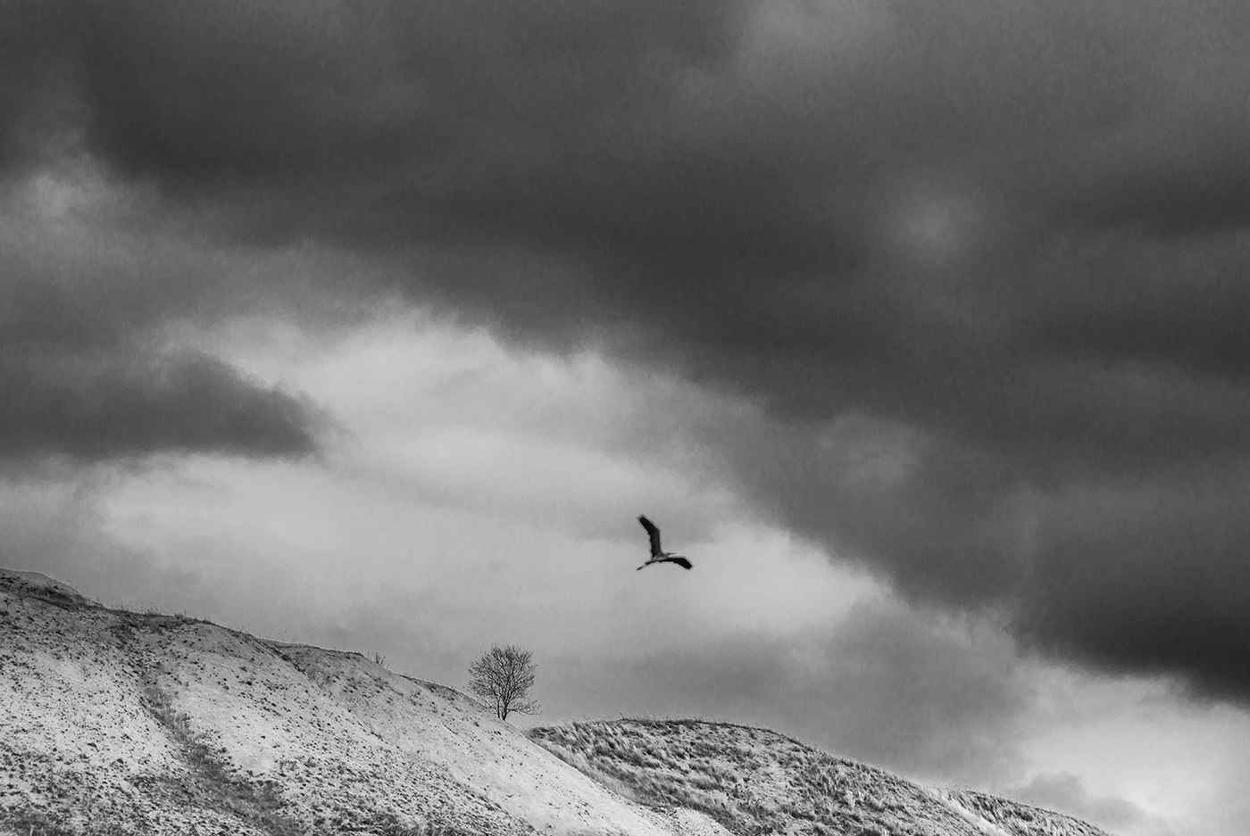 Без названия...