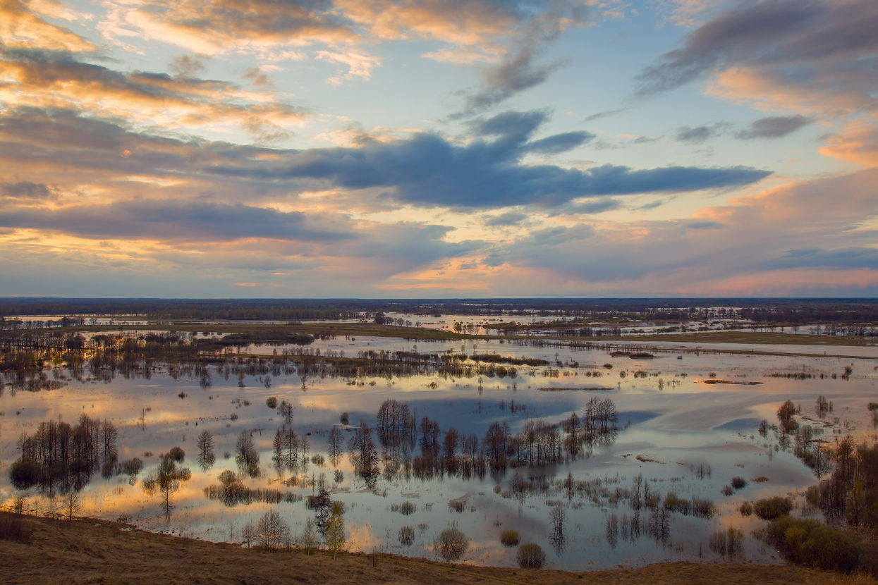 В вечернем свете