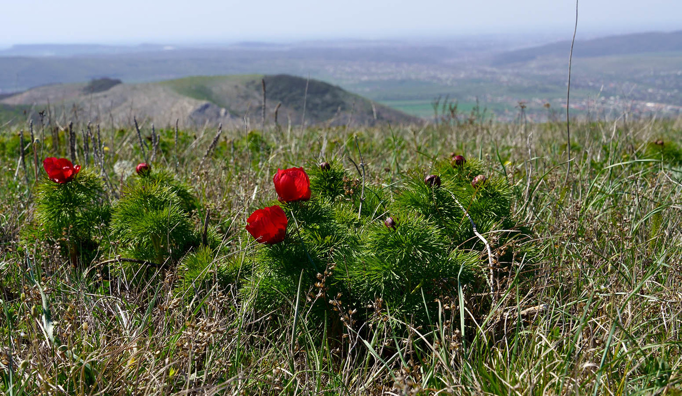 С Днем Победы!!