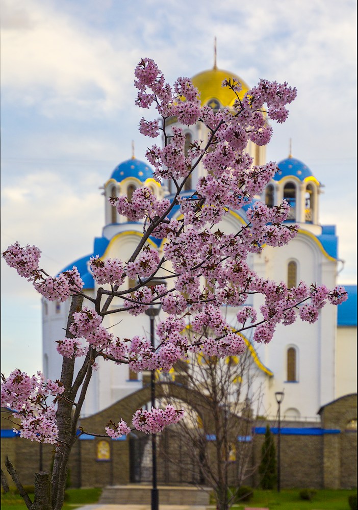 С Праздником Победы!