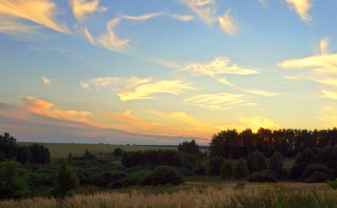 Дивные птицы по небу плывут